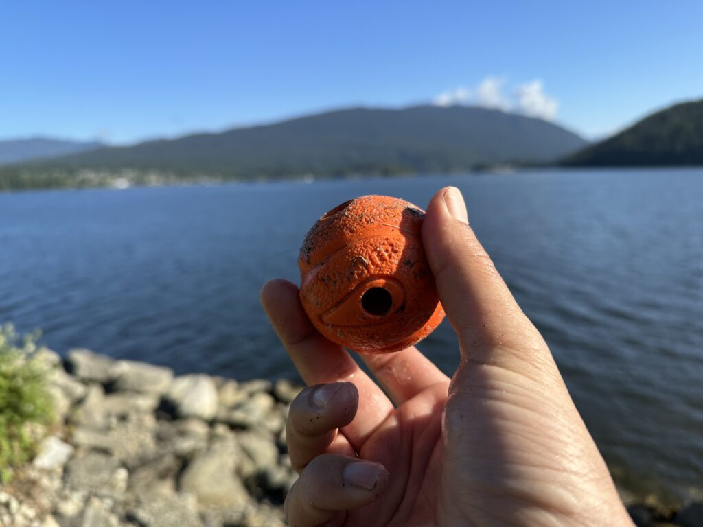 An orange dog toy ball with holes that make it go “weeeeeezzz” when you throw it 