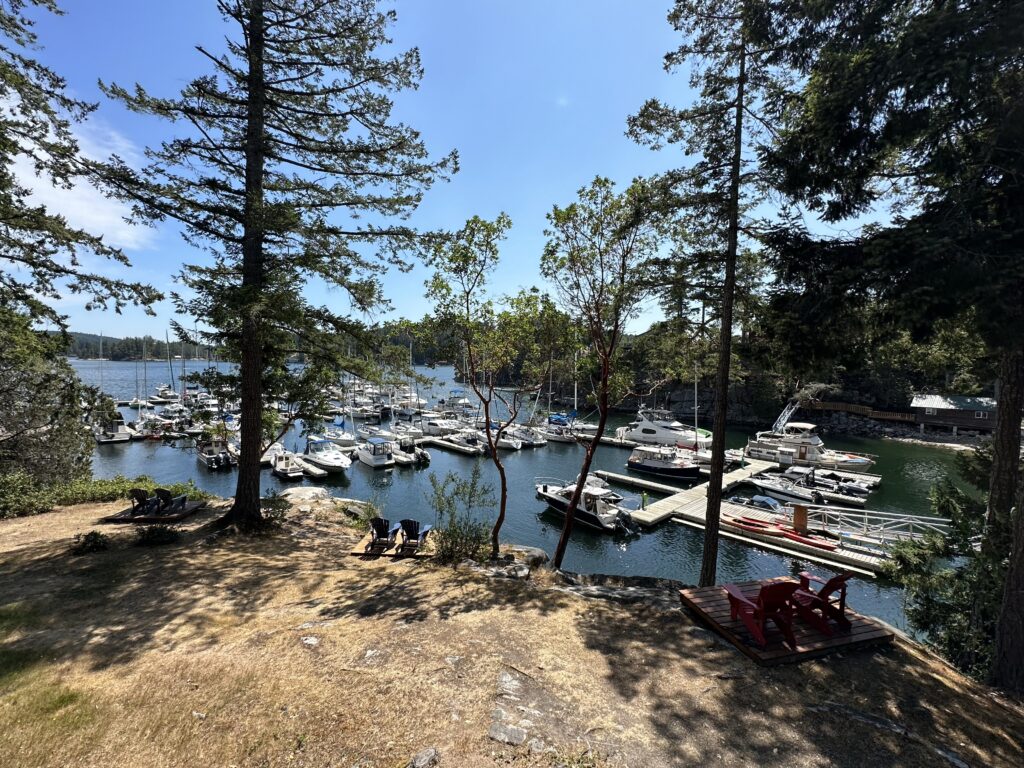 View from a balcony overlooking some long chairs, a small marina, and some forested hills in the distance