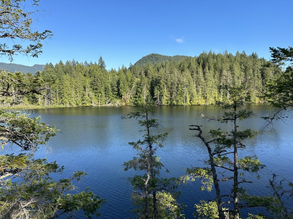 The lake, surrounded by trees and hills