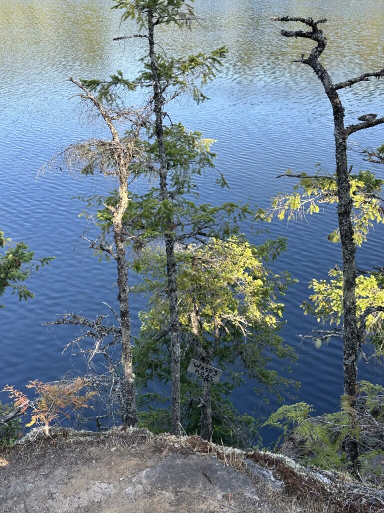 A sign that says "Wasp's nest", nailed to a tree on the shore of a lake