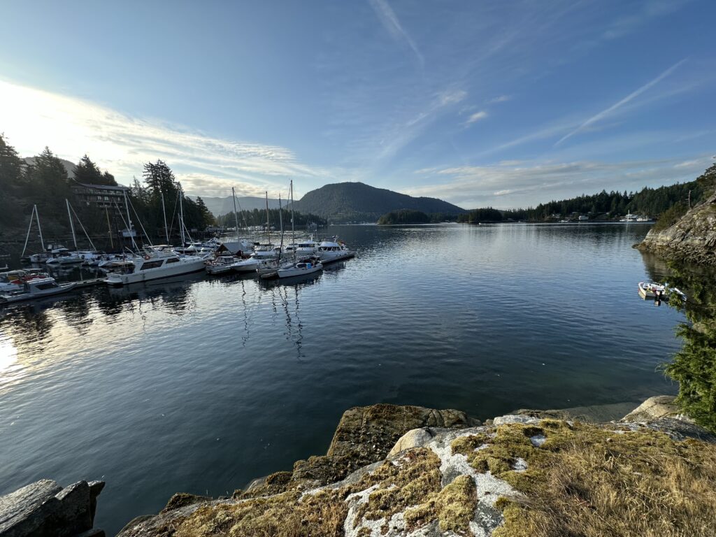 A harbour with a small marina and forested hills in the distance