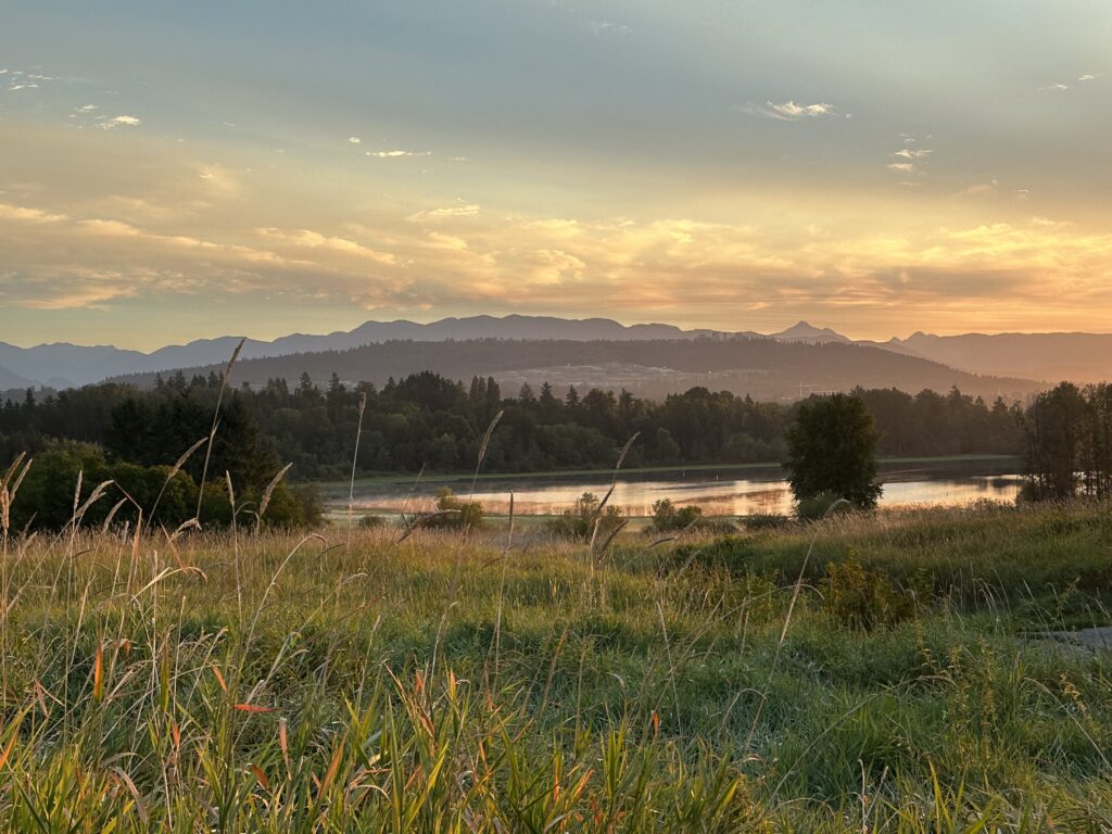 A photo of Deer Lake Park in Burnaby, BC, with high grass in the foreground and an orange tint in the sky