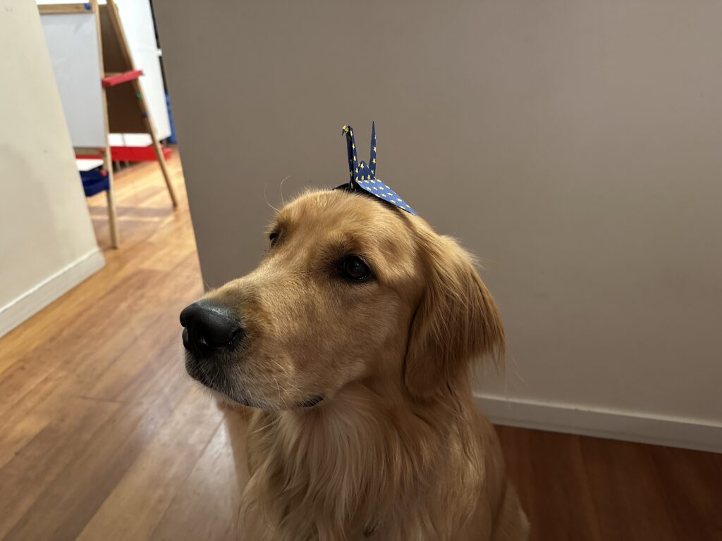 A picture of a confused golden retriever with a paper crane on his head