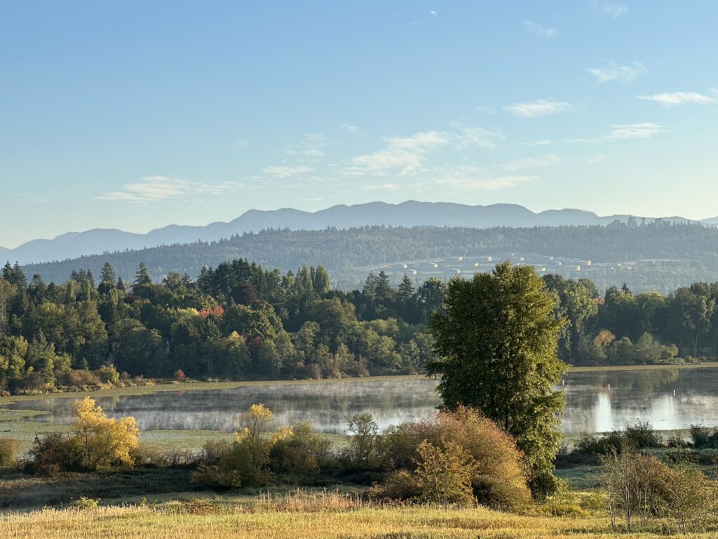 A view of Deer Lake Park in Burnaby, BC, Canada
