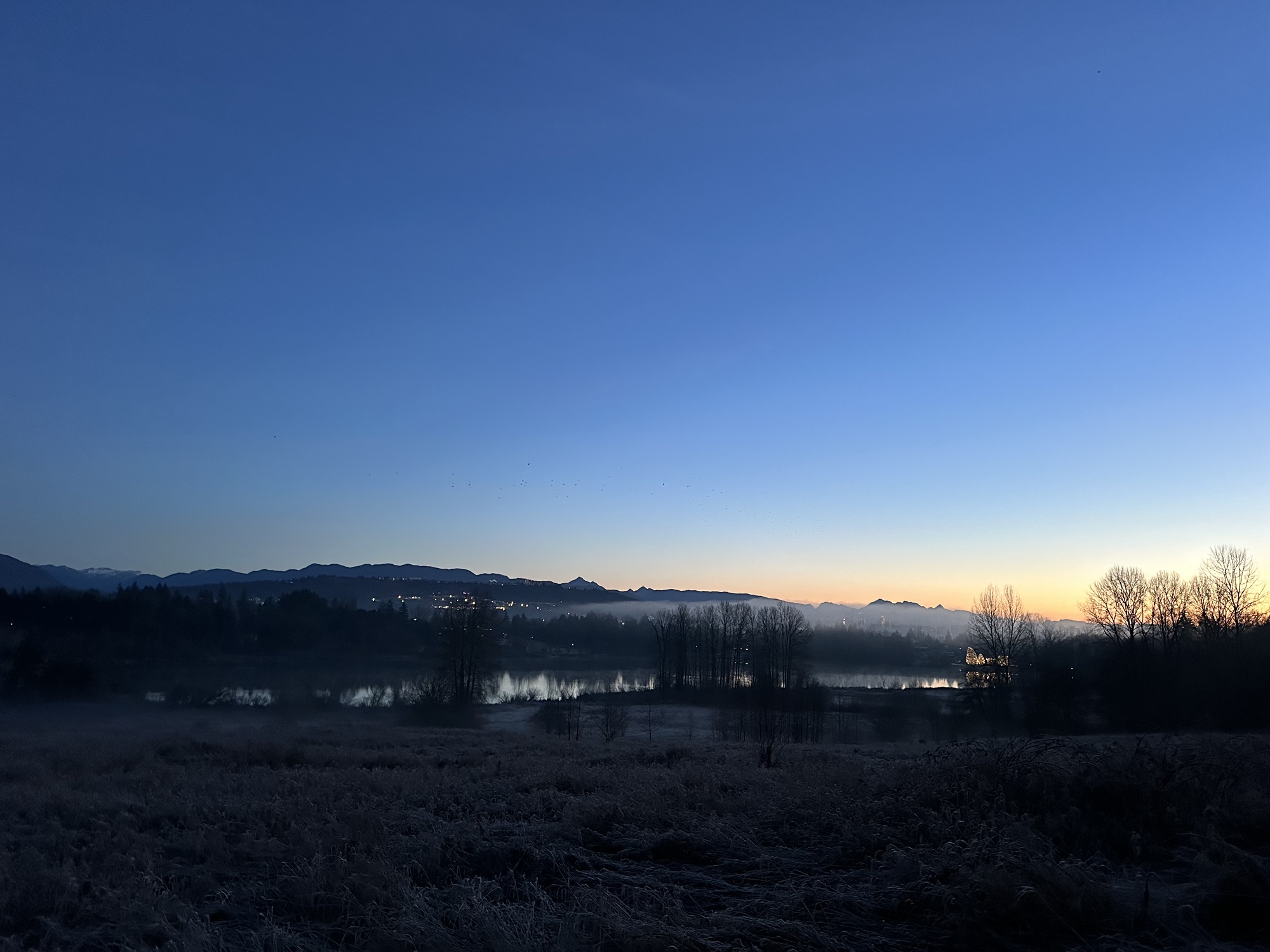 A sunrise with blue skies over Deer Lake Park in Burnaby, BC