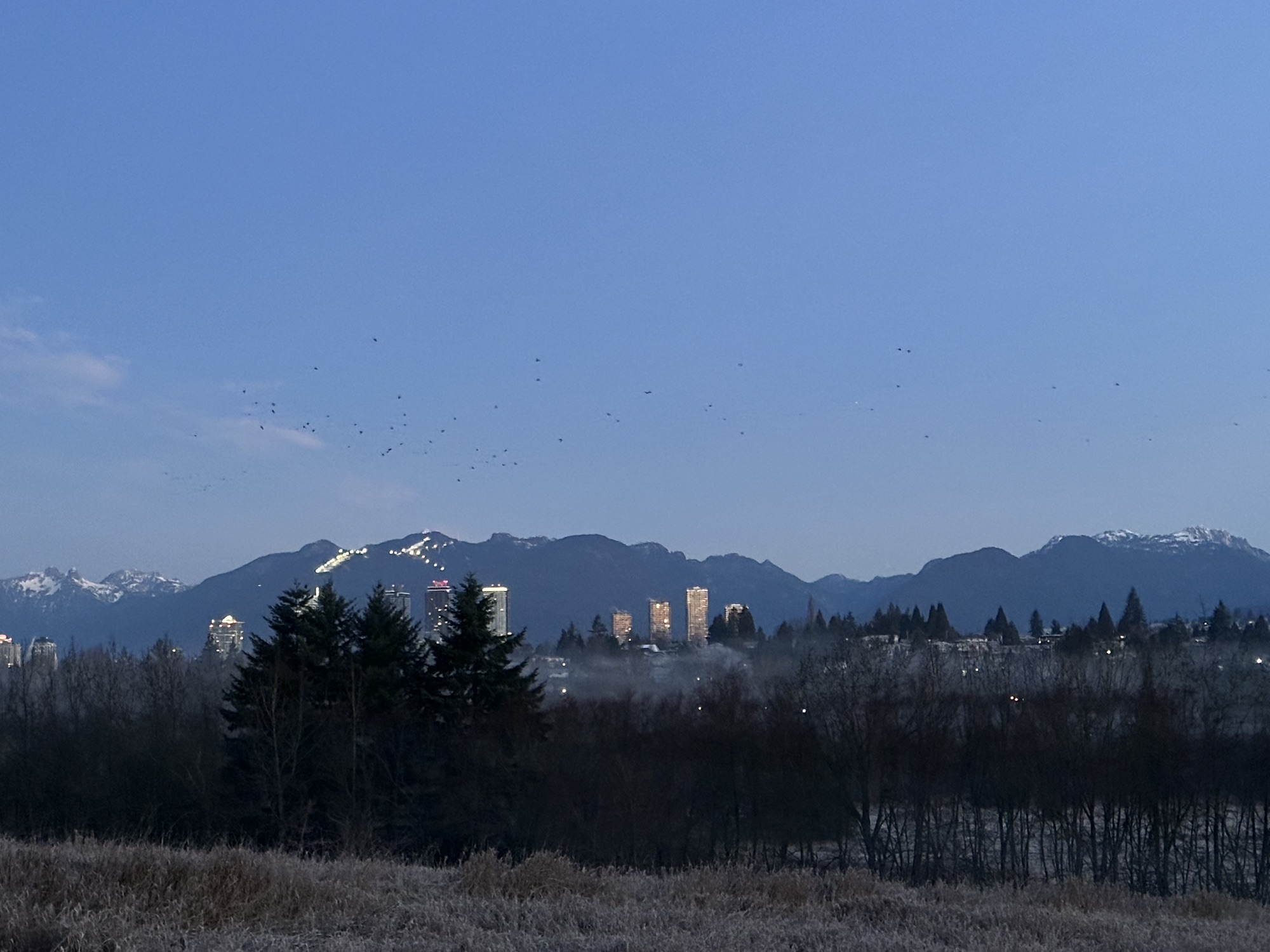 A classic Greater Vancouver view of a park with buildings behind it and mountains in the background 