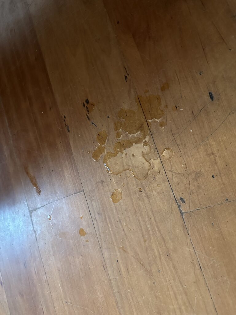 A puddle of drool on the hardwood floor. Once I even actually *slipped* on it and almost fell.
