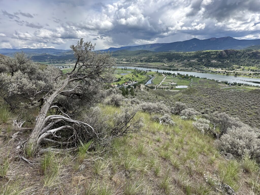 A view from the northern hills above the South Thompson River valley near Kamloops, BC