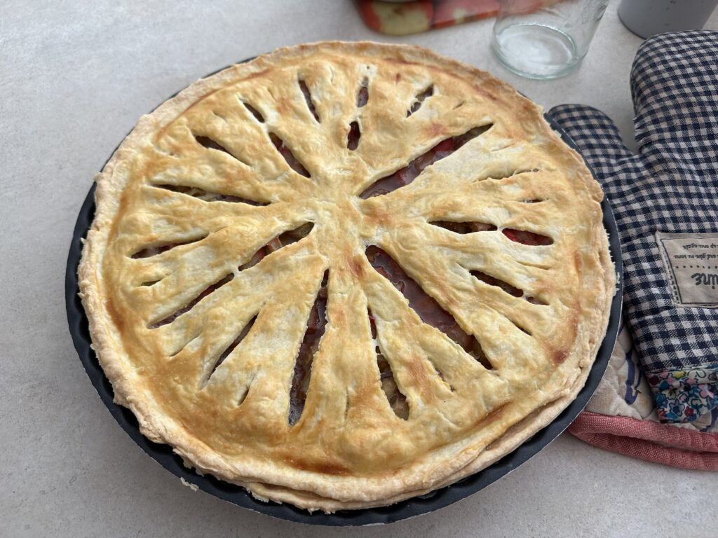 A finished rhubarb pie with some shitty little patterns on top