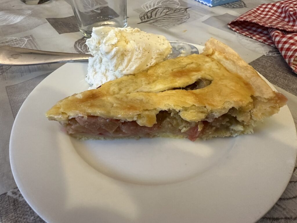 A slice of rhubarb pie with vanilla ice cream