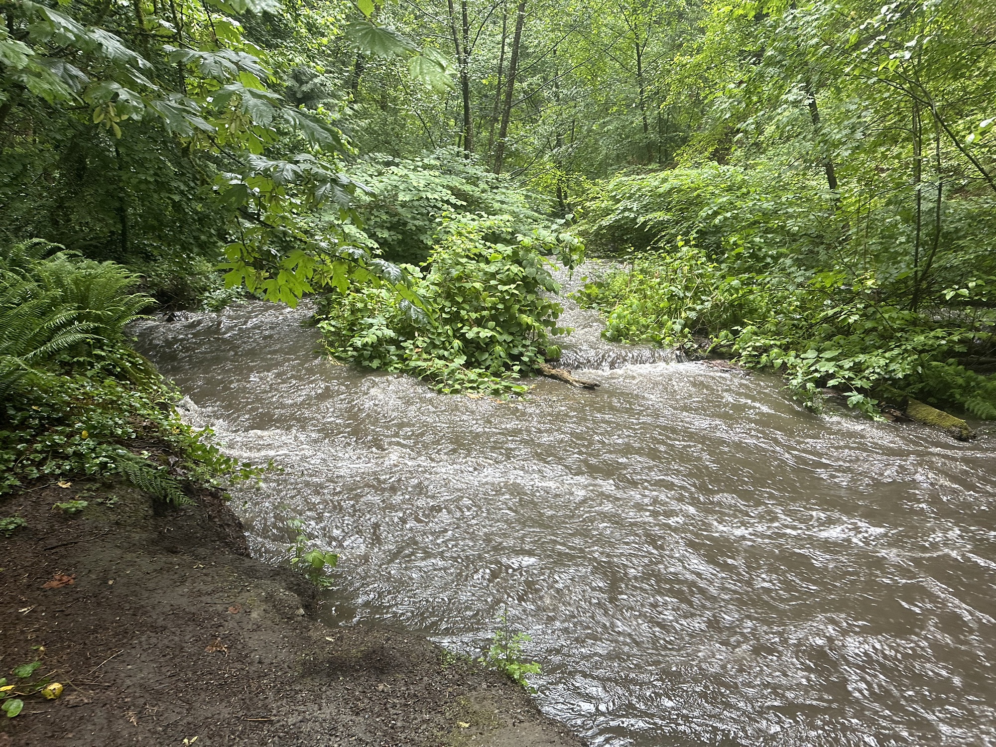 A river with a pretty quick current for its size