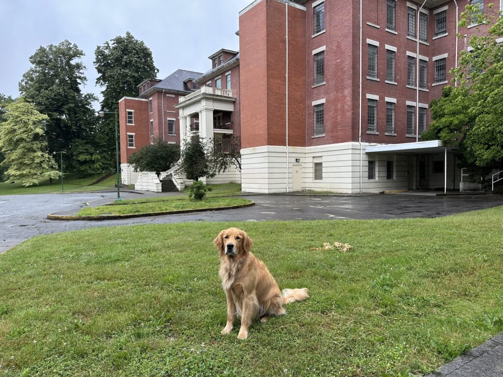 The good boy golden retriever in front of the central building. Everything is closed off, of course. Note all the bars on the windows.