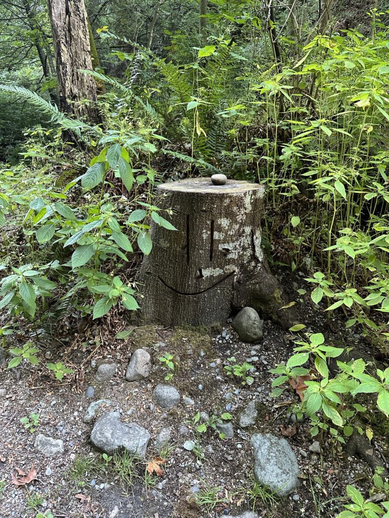 A tree stump carved to look like a smiley face