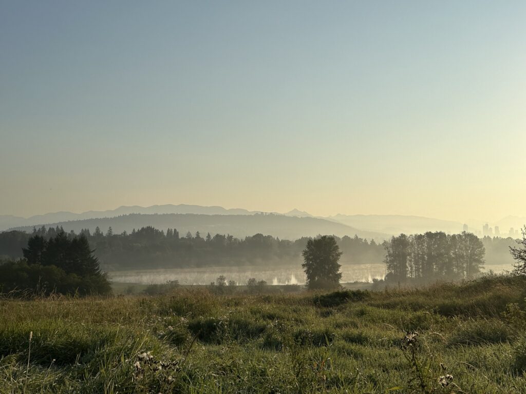 Morning fog rolls over the trees and green wetland of Deer Lark Park. Burnaby mountain and Seymour mountain blend as gray blue shapes in the background. 