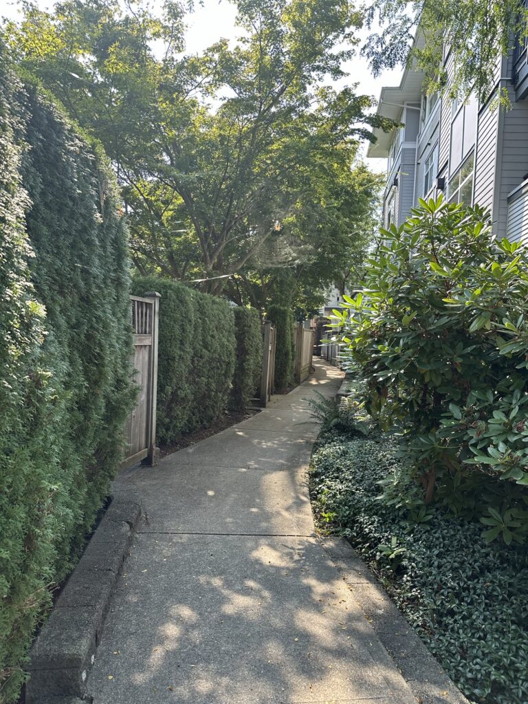 The little alley behind my house… you either see it or you don’t!