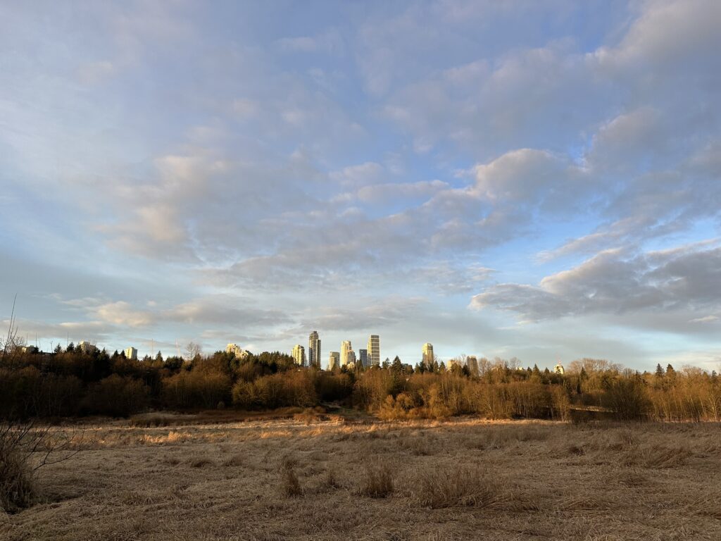 Some buildings from the Burnaby Metrotown area stick out from behind the trees of Deer Lake Park, BC, Canada.