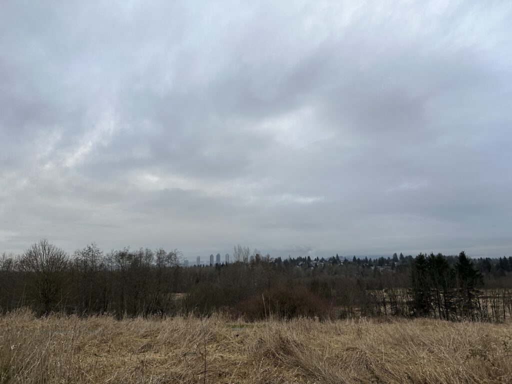 A picture facing north, where the north shore mountains should be but are obscured by clouds