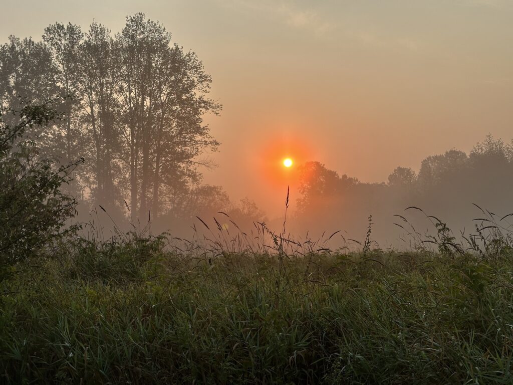 A sunrise in Deer Lake Park, BC, where the sun is red from the wildfire smoke elsewhere in the province.