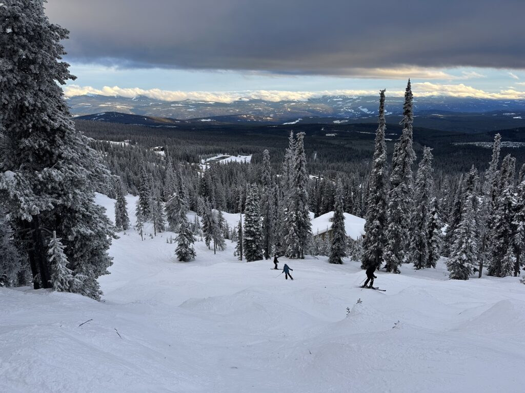 A bumpy run going through the trees in Big White, BC