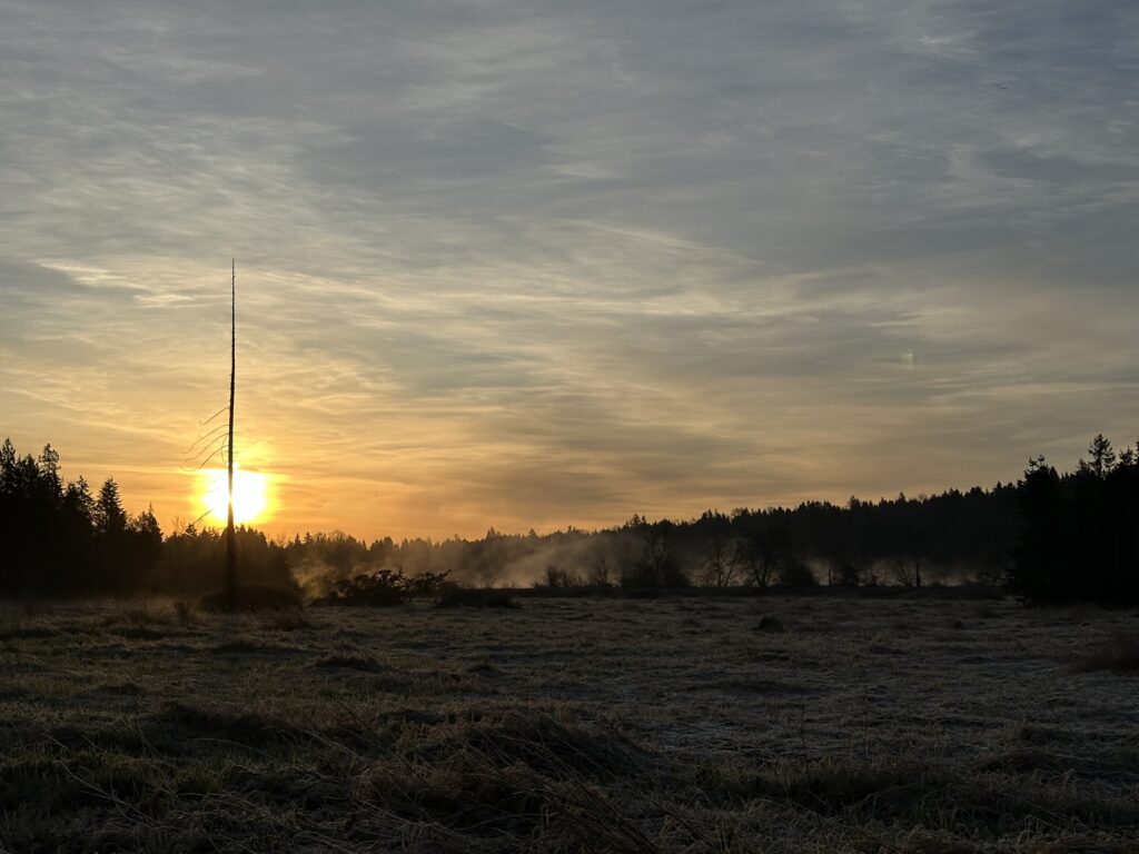 Sunrise over Deer Lake Park in Burnaby, BC.