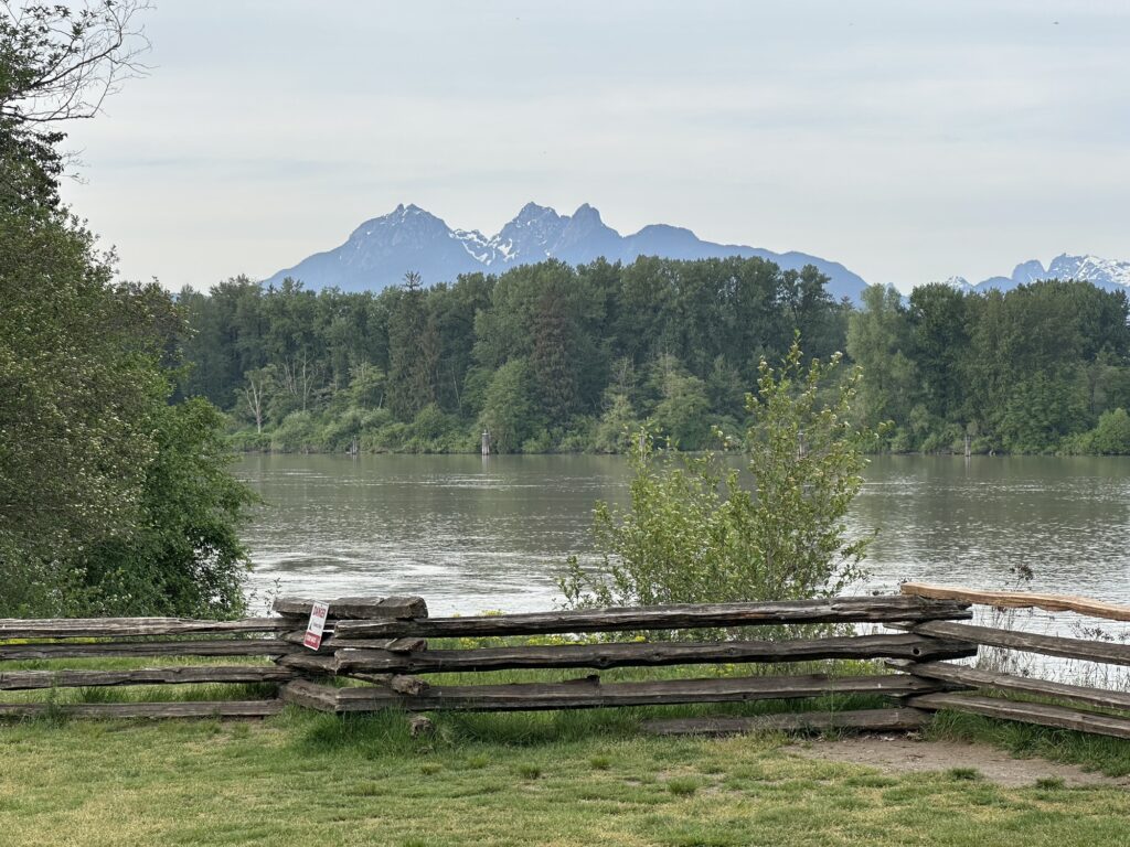 A view of the Fraser River, with the north shore mountains in the background, from the Fort-to-Fort trail in Langley BC