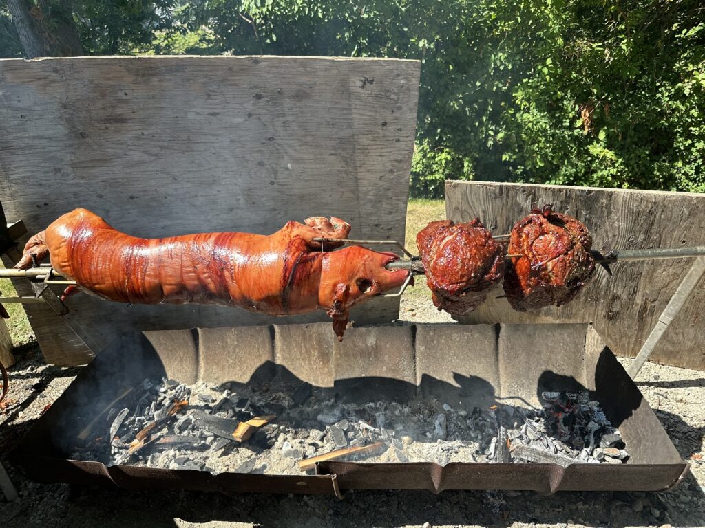 Pig roast slowly turning over the fire