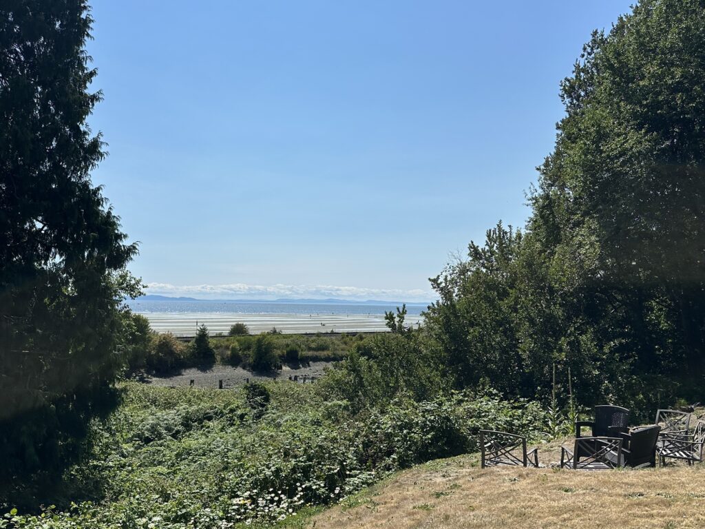 A view of the Pacific Ocean, with Vancouver Island in the distance