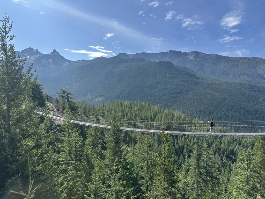The suspension bridge at the top of the gondola (it's pretty stable and not very high, the photo is a bit misleading)