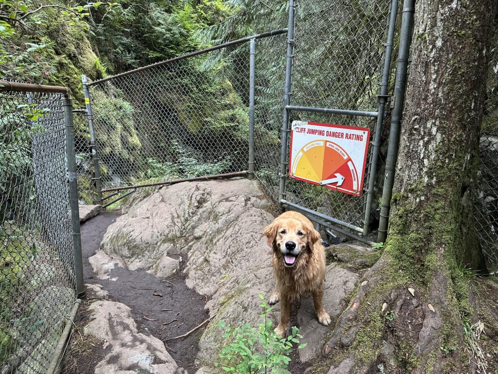 I think the "Cliff Jumping Danger Rating" and signs showing how many people died at a given spot are being retired, probably for being taken as a challenge by drunk teenagers...

Good fluffy boy for scale.