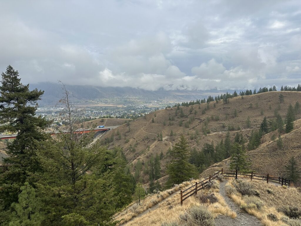 View from the Tom Moore / Billy Miner trails. These hills look like northern California or something.