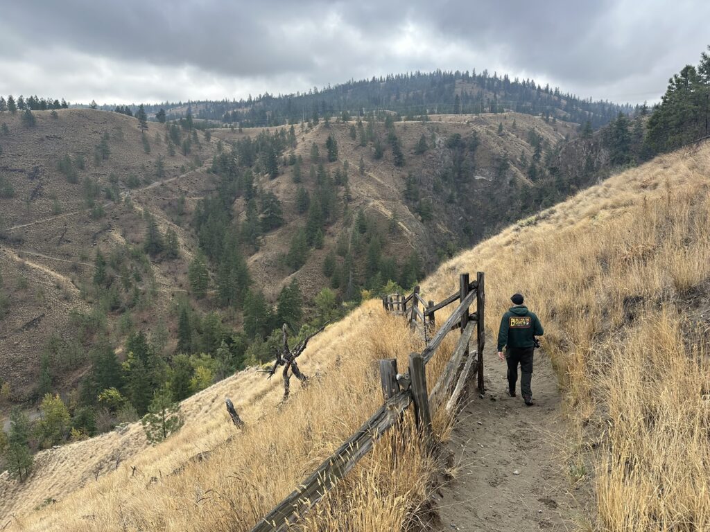 View from the Tom Moore / Billy Miner trails. Going back down towards the bridge.