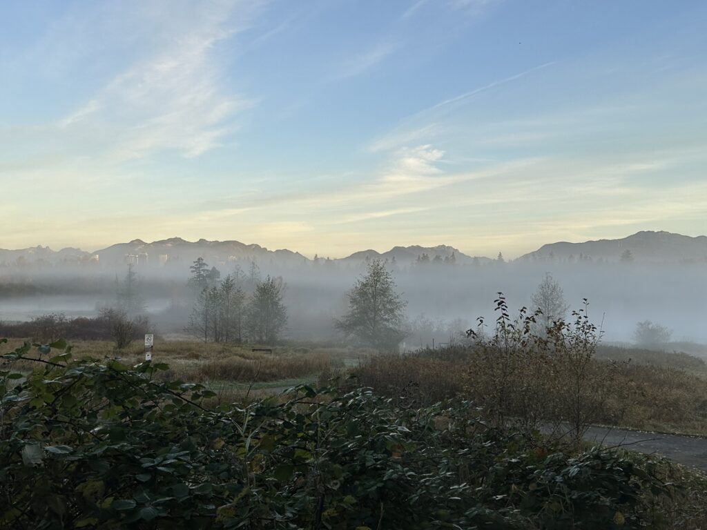 The fog covering the bottom of Deer Lake Park, BC